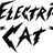 Electric Cat logo